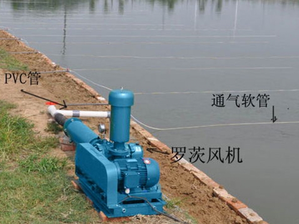 水产养殖曝气安装 (1)