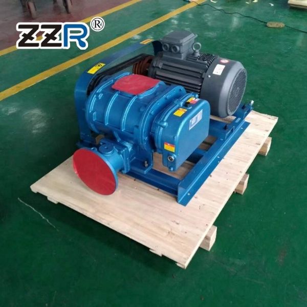 ZZR-50V60V型真空泵