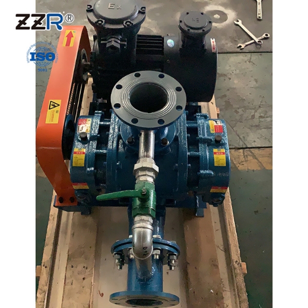 ZZR-沼气增压用罗茨风机